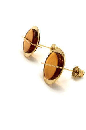 Bernstein Ohrstecker gold