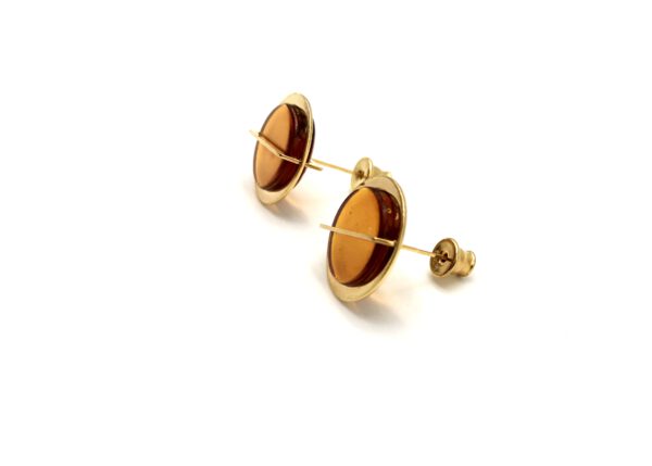Bernstein Ohrstecker gold
