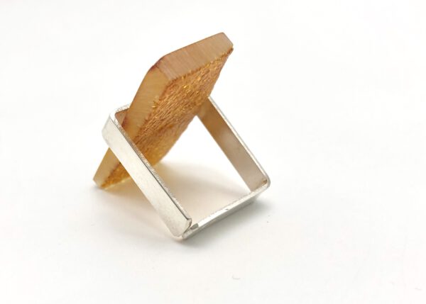 Bernstein Ring