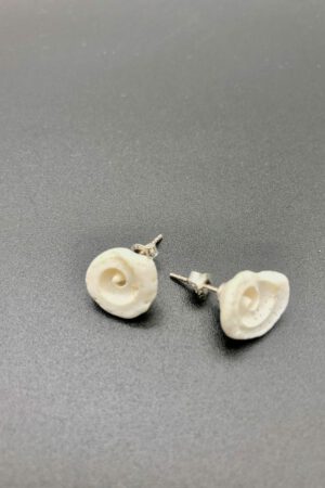 Muschel Ohrstecker