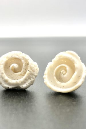 Muschel Ohrstecker