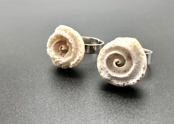 Muschel Ring