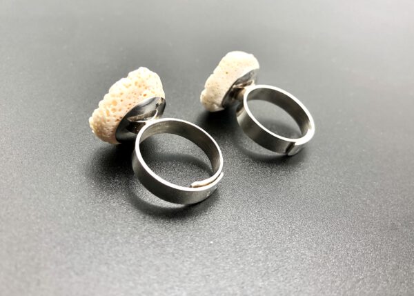 Muschel Ring