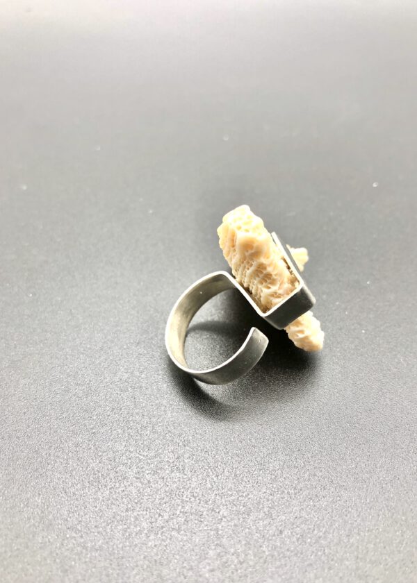 Muschel Ring
