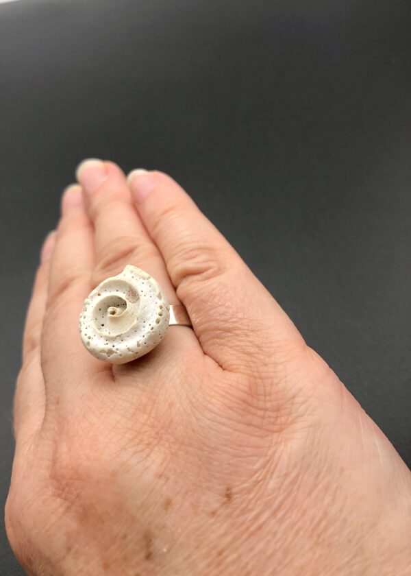 Muschel Ring