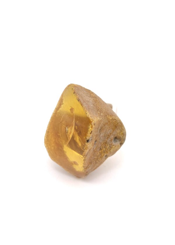 Bernstein Ring