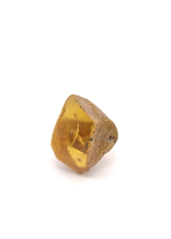 Bernstein Ring