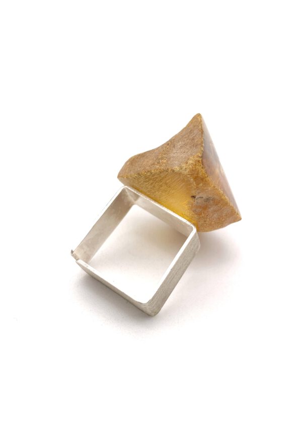 Bernstein Ring
