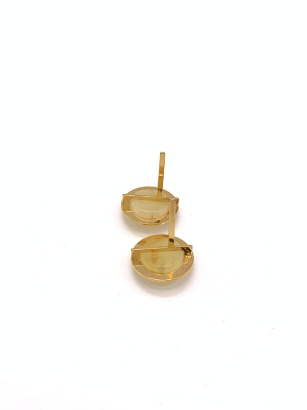 Bernstein Ohrstecker