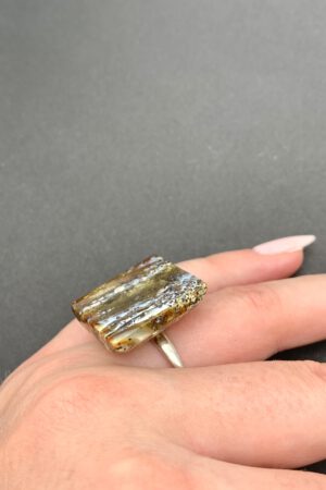 Bernstein Ring