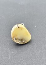 Bernstein Ring