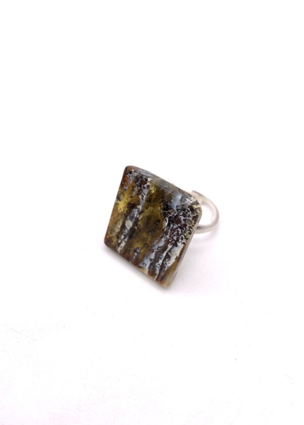 Bernstein Ring