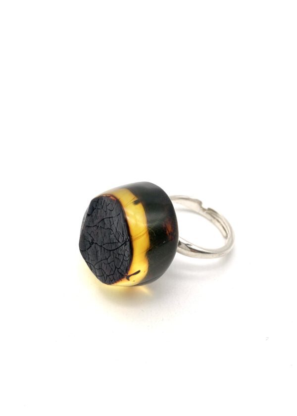 Bernstein Ring