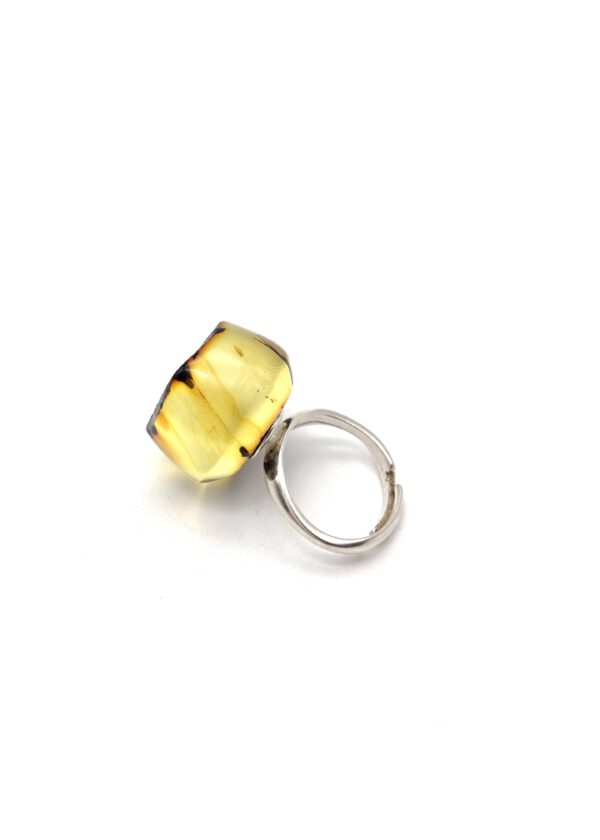 Bernstein Ring